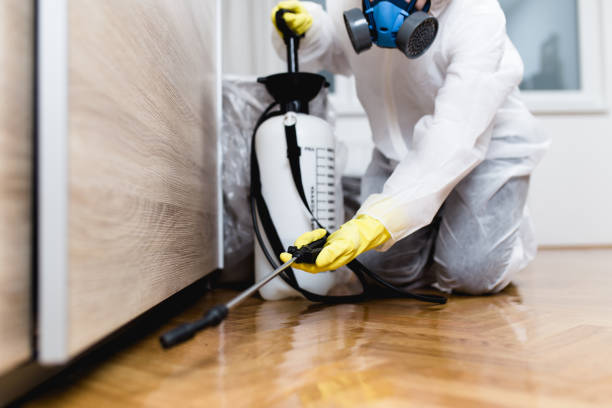 Best Wasp Removal Services  in Chickasaw, AL