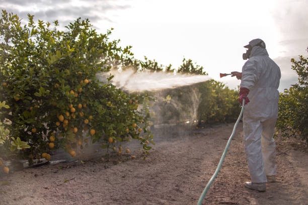 Best Insect Control  in Chickasaw, AL