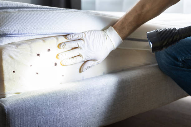 Pest Control for Restaurants in Chickasaw, AL