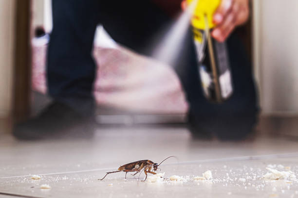 Best Emergency Pest Control  in Chickasaw, AL