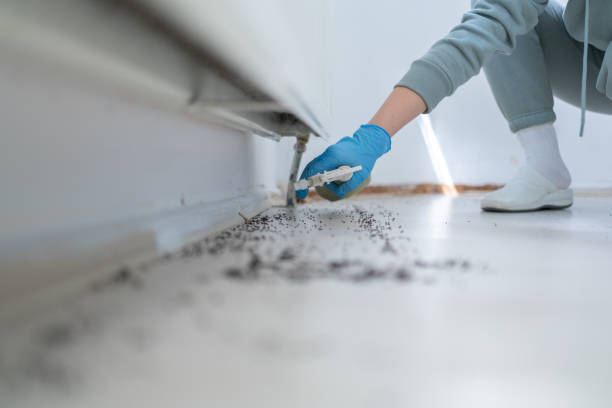 Best Best Pest Control Companies  in Chickasaw, AL